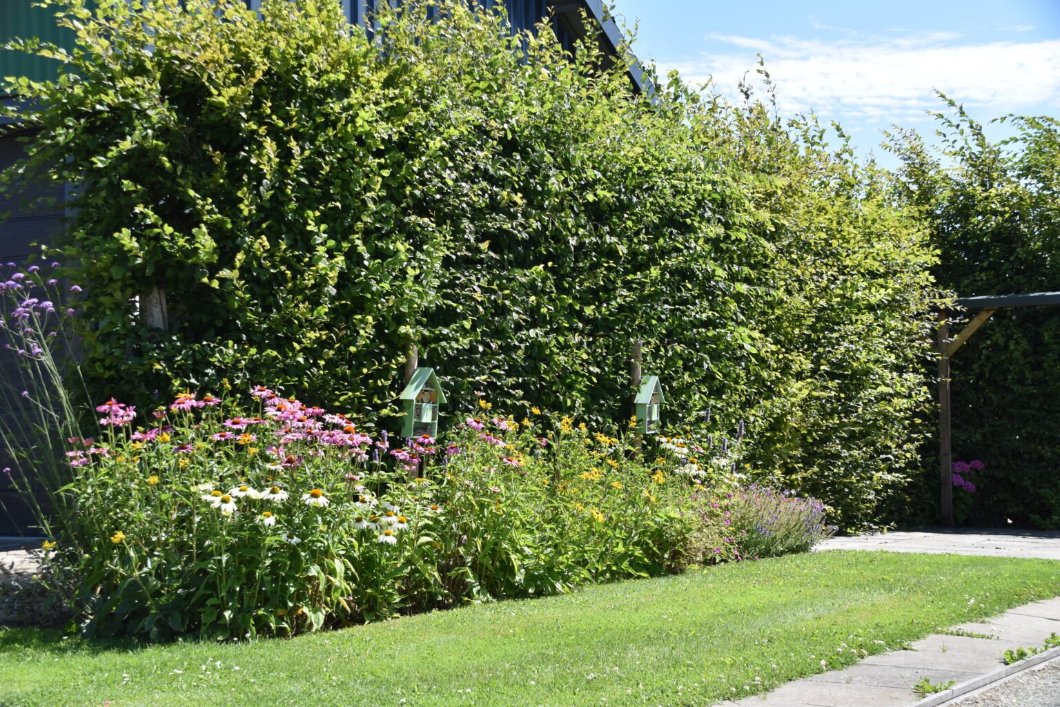 Bloemen en planten - Camping - Vakantiehuis Het Stamhuisje