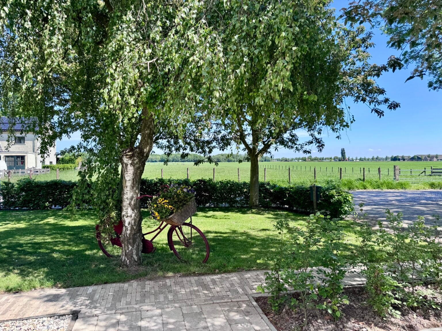 Vakantiehuis Het Stamhuisje - Uitzicht vanuit terras op het platteland en het boerenlandschap